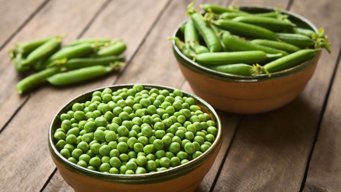 Proteína de Ervilha Orgânica - ProTin