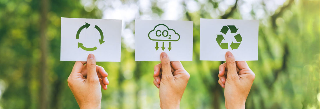 Sustentabilidade: O que é? - ProTin